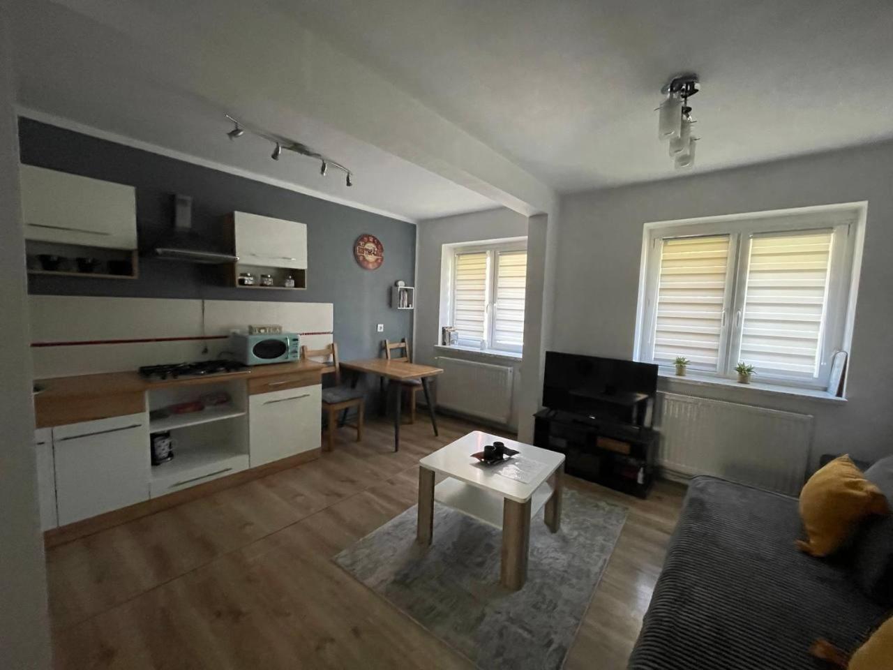 Apartament W Centrum Cichy Zakatek Gliwice Bagian luar foto